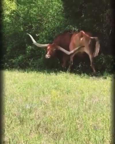 When you got an itch