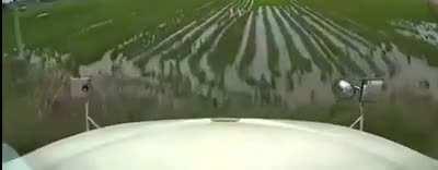 Saving a life can be expensive