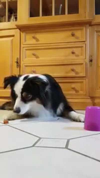 Choosing Cup of Treats............