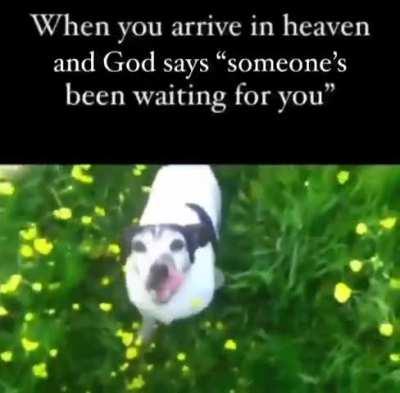 don't know whether or not this belongs here