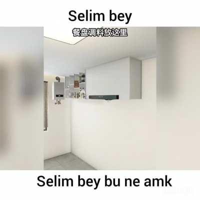 Selim bey odam sede olsun