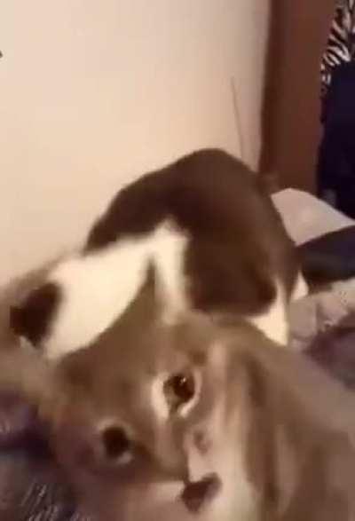 Не переставаю ржать над этим))