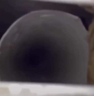 It knows what's good