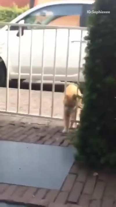 Just passing through