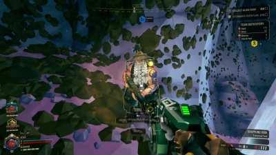 Is this what we want green beards to see as an example?