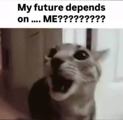 WAAAAWAWAAAAWAAAA😰🐱😨