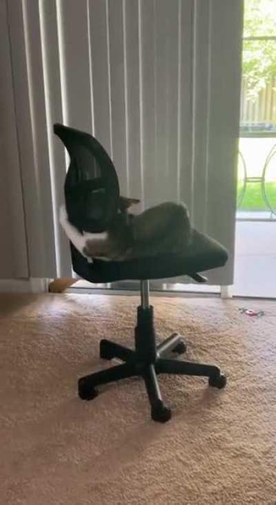 Bo doing normal Bo things