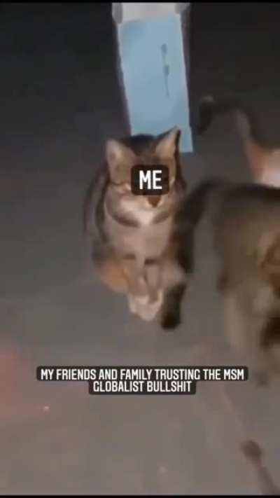 Not distracted at all.