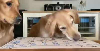 Playing a game of catch the carrot