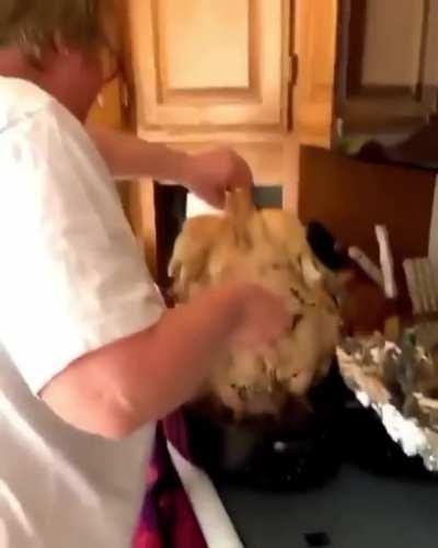 Who's up for pizza tonight