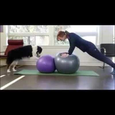 'Just doing yoga with my dog'