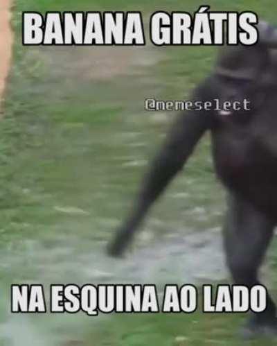 bananas isentas de custo