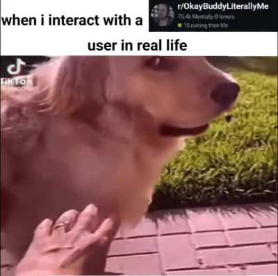 they might be serious 