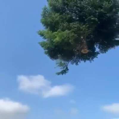 I’m gonna make like a tree and get the hell outta here.