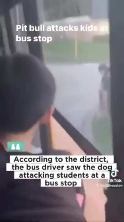 Dog attacks students at bus stop