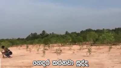 කුඩ්ඩා 2🌀🪬