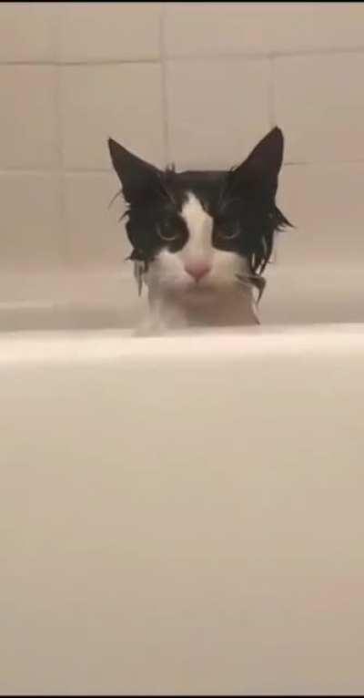 That's the look of revenge. I would be careful.