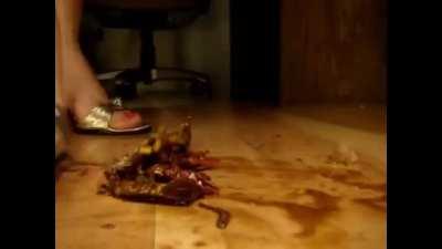 Crawdad Crush from the Archives