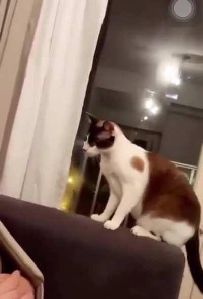 Waiting for a reaction