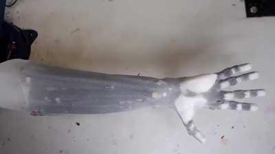 Реалистичная роборука, использующая искусственные мышцы. Широкий диапазон движений и возможность жамкать роботических женщин.