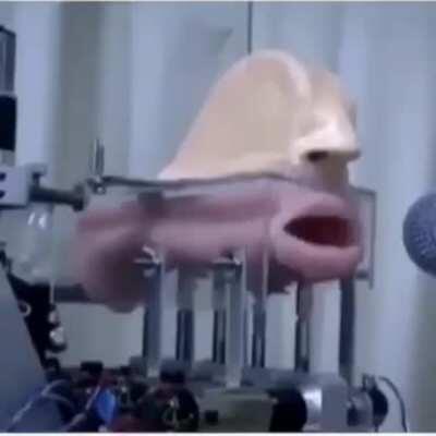 [ʔm̩ːː˧ ʔʌ̃ːː˧ ʔɐ̃ːː˧ ʔɒ̃ːː˨ ʔä̃˨ ʔm̩˨ ʔʌ̃˨ ʔɐ̃˨ ʔɒ̃˨ ʔä̃ːː˨˨˧ ʔm̩ːː˨˨˧ ʔʌ̃ːː˨˨˧ ʔɐ̃ːː˨˨˧ ʔɒ̃ːː˩˩˨]