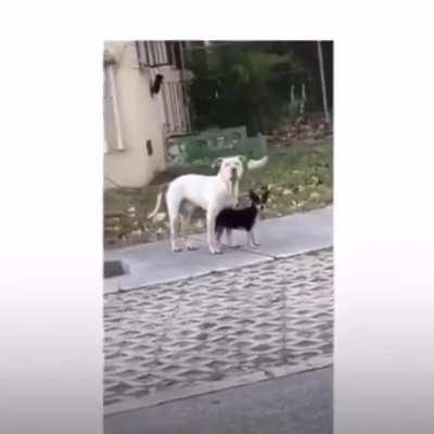 I think this belongs here