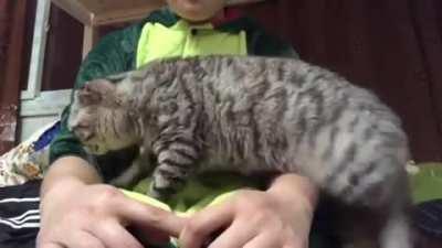 Just gonna sneak on into your lap here