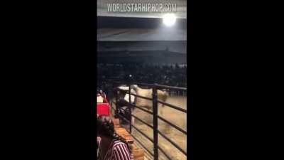 Mess with the bull, you get the misery