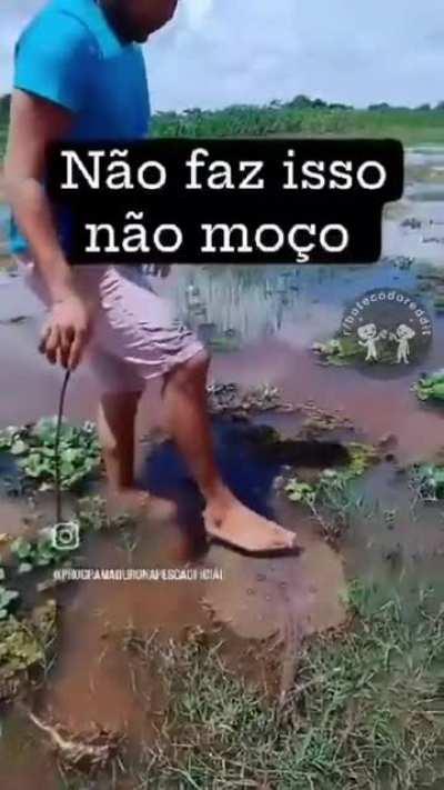 Pensa num mano burro 