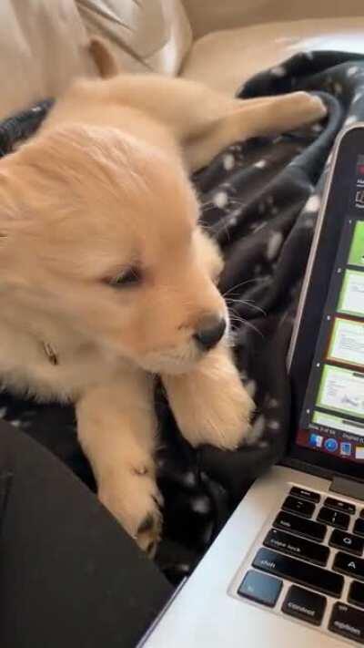 When you wake up for work but realize it's a Saturday