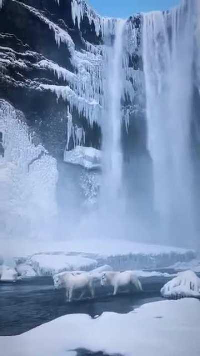 🔥 Skogafoss Waterfall in Iceland