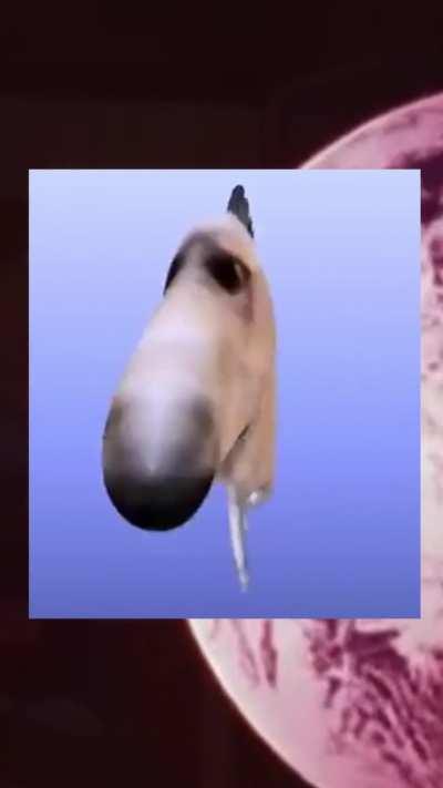 once bigger time or brian