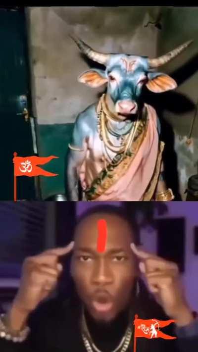Jai ho gau mata 🚩🚩🚩