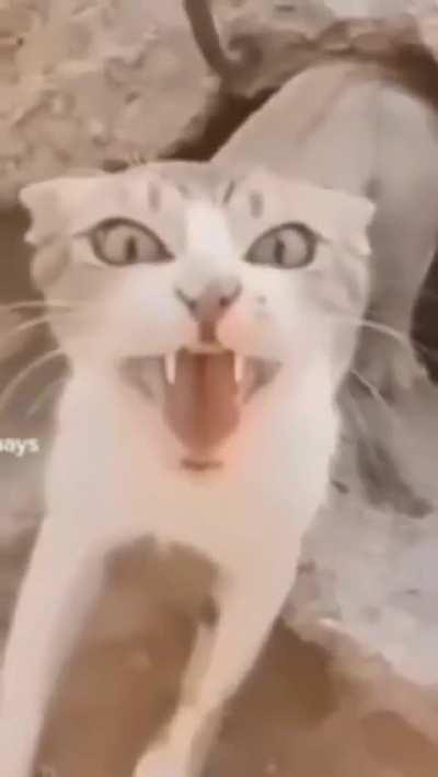 sound makes it funny