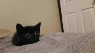 I can't believe it, this criminal is so obnoxious!