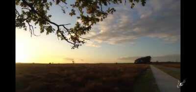 Íme Weöres Sándor elveszett verse.(nem az enyém)