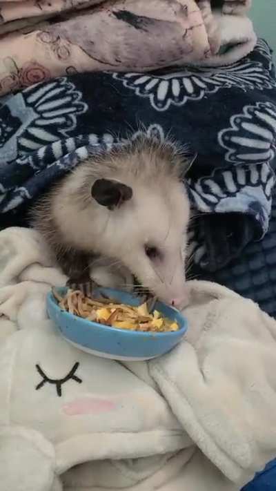 Breakfast timr