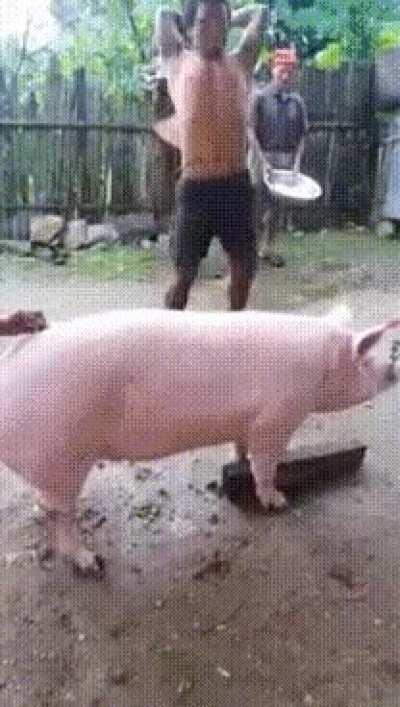 Is that even possible