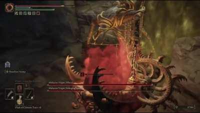 Please just let me go...