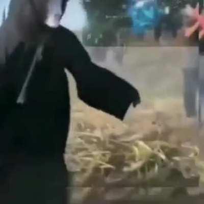 my favorite meal of the day is breakfast