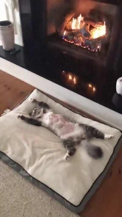 This is the life we all want.