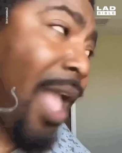 From a fish’s perspective