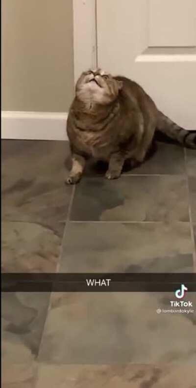 M a u but with the soundtrack it desperately needs