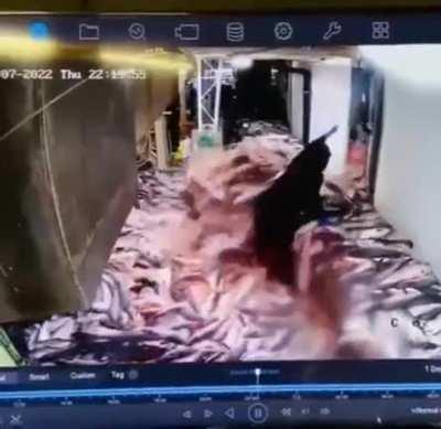 Somethings a little fishy with the machine.