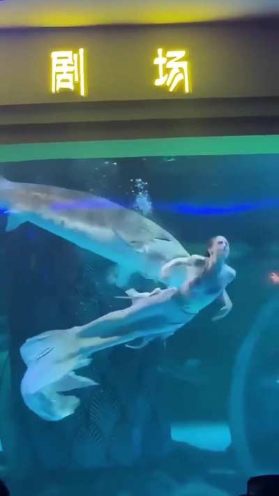 Maybe the main character?