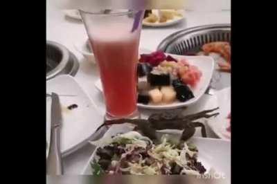 to escape from being eaten