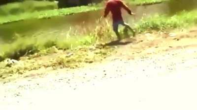 Do not throw slipper at monkey