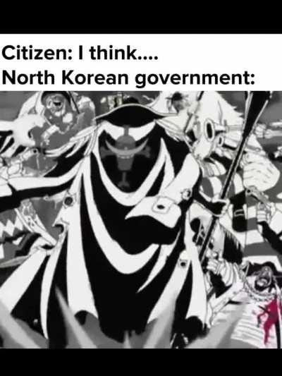 One piece and North Korea collab