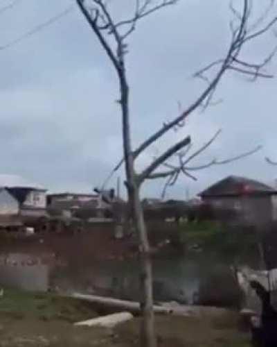 brain.exe stopped working