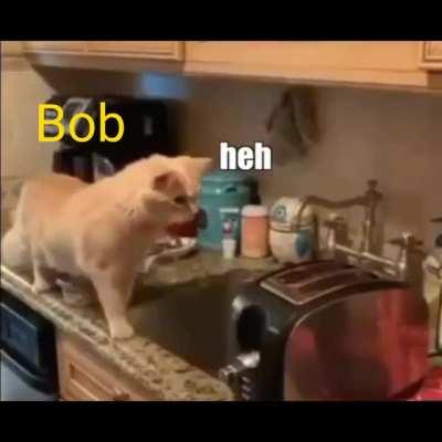 Distractible in a nut shell 😂